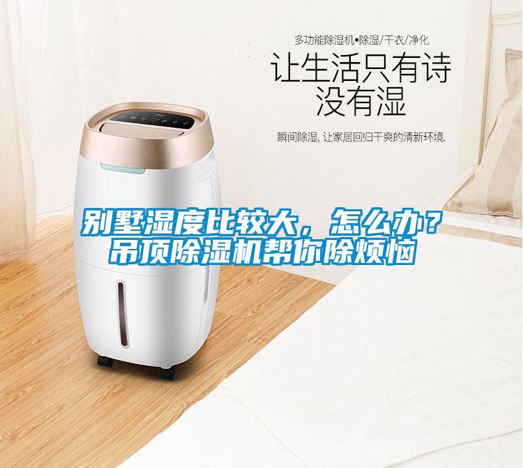別墅濕度比較大，怎么辦？吊頂除濕機幫你除煩惱