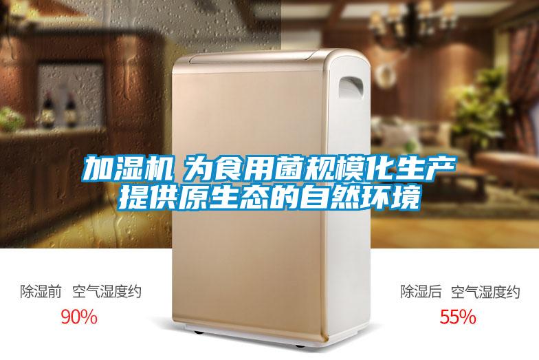 加濕機　為食用菌規(guī)?；a(chǎn)提供原生態(tài)的自然環(huán)境