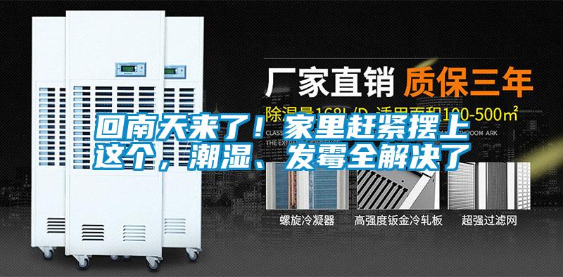 回南天來(lái)了！家里趕緊擺上這個(gè)，潮濕、發(fā)霉全解決了