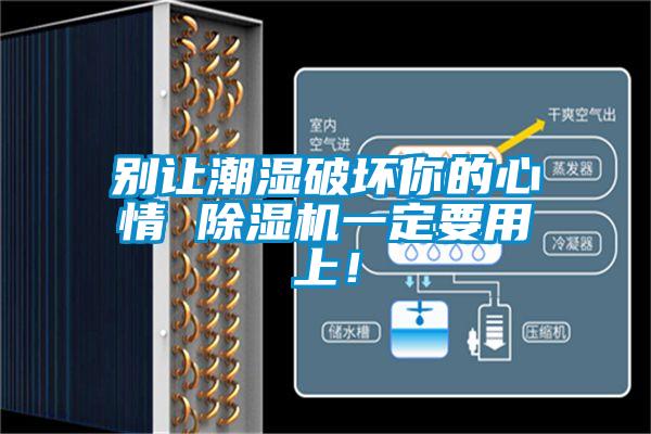 別讓潮濕破壞你的心情 除濕機(jī)一定要用上！