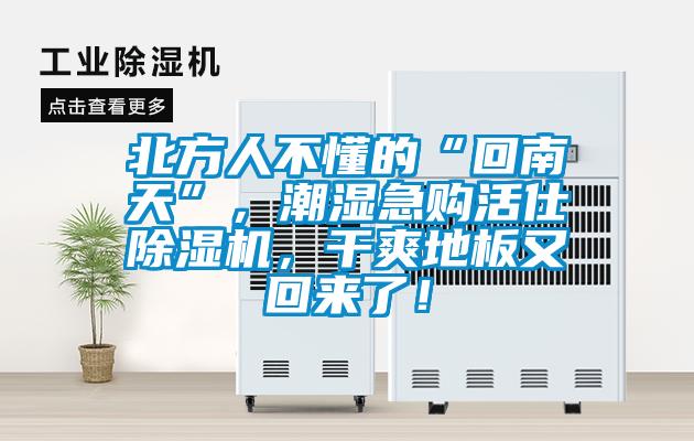 北方人不懂的“回南天”，潮濕急購活仕除濕機，干爽地板又回來了！