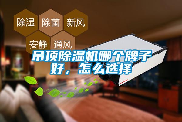 吊頂除濕機哪個牌子好，怎么選擇