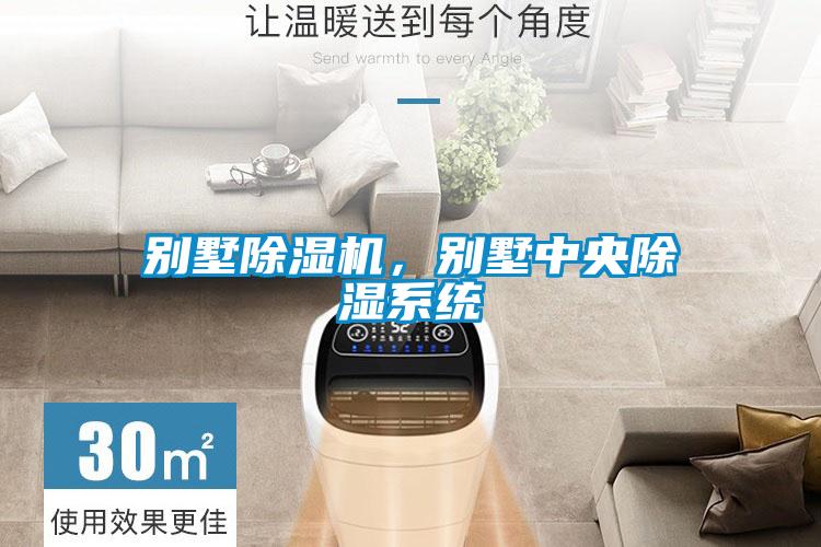 別墅除濕機，別墅中央除濕系統(tǒng)