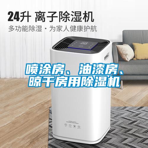 噴涂房、油漆房、晾干房用除濕機(jī)