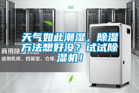 天氣如此潮濕，除濕方法想好沒？試試除濕機！