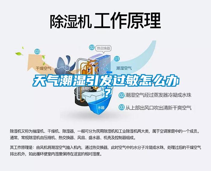 天氣潮濕引發(fā)過敏怎么辦？
