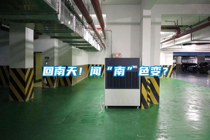 回南天！聞“南”色變？