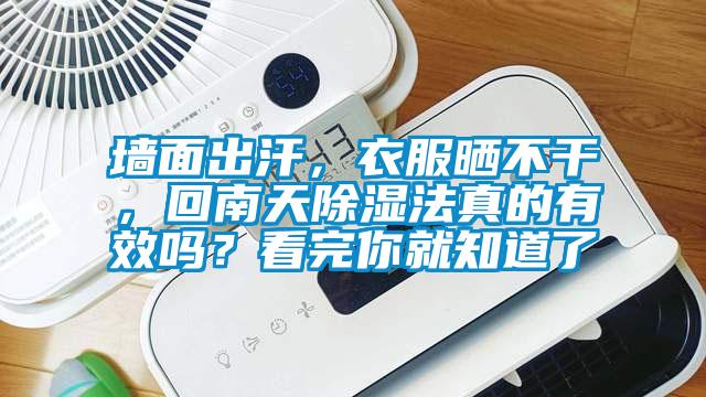 墻面出汗，衣服曬不干，回南天除濕法真的有效嗎？看完你就知道了