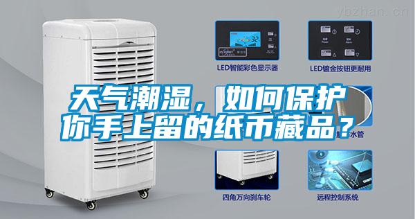 天氣潮濕，如何保護你手上留的紙幣藏品？