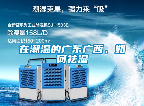 在潮濕的廣東廣西，如何祛濕