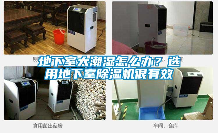 地下室太潮濕怎么辦？選用地下室除濕機很有效