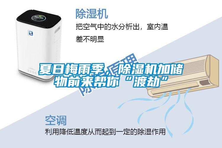 夏日梅雨季，除濕機加儲物前來幫你“渡劫”