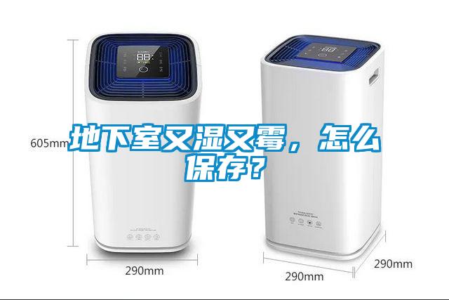 地下室又濕又霉，怎么保存？