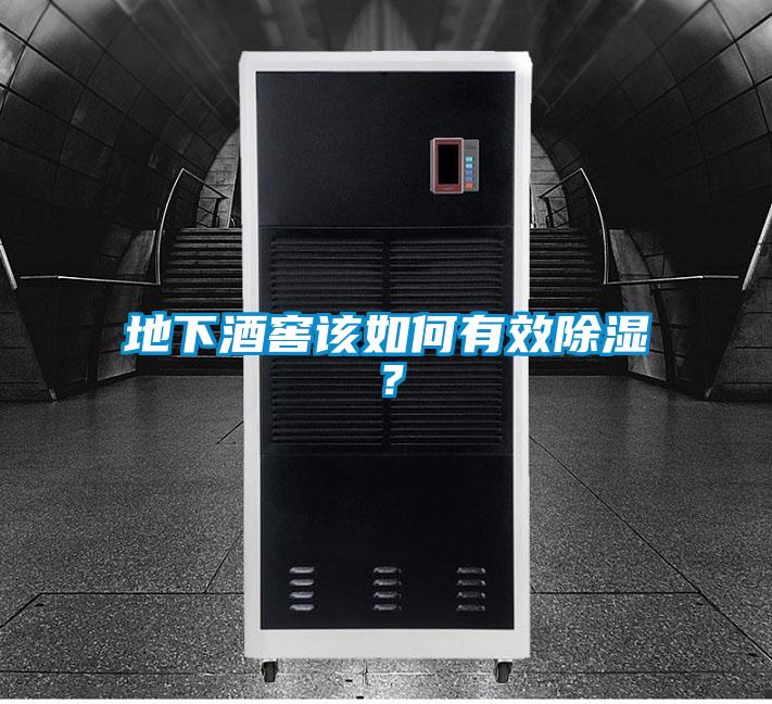 地下酒窖該如何有效除濕？