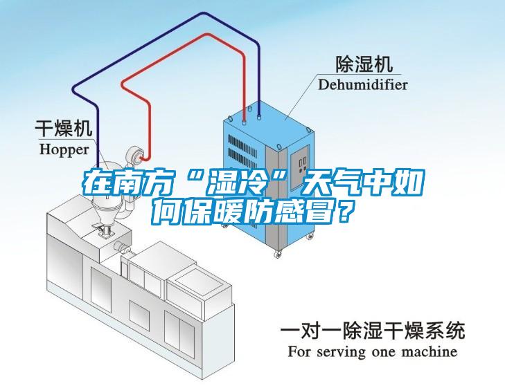 在南方“濕冷”天氣中如何保暖防感冒？
