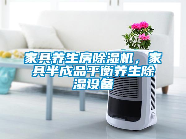 家具養(yǎng)生房除濕機(jī)，家具半成品平衡養(yǎng)生除濕設(shè)備