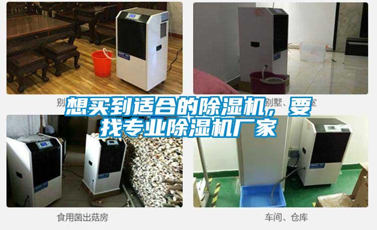 想買(mǎi)到適合的除濕機(jī)，要找專(zhuān)業(yè)除濕機(jī)廠家