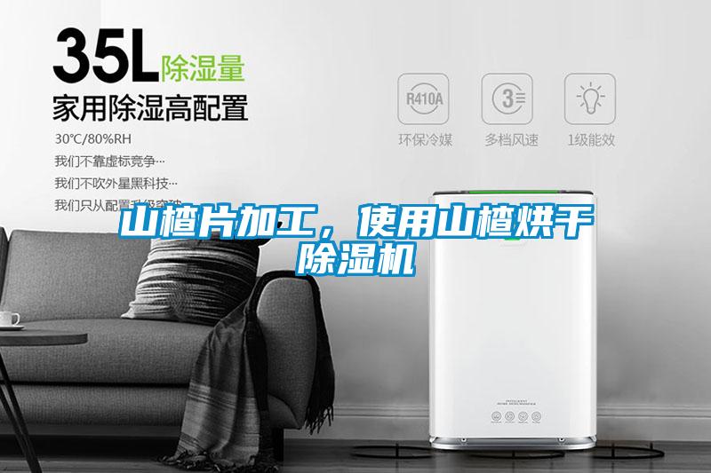 山楂片加工，使用山楂烘干除濕機(jī)