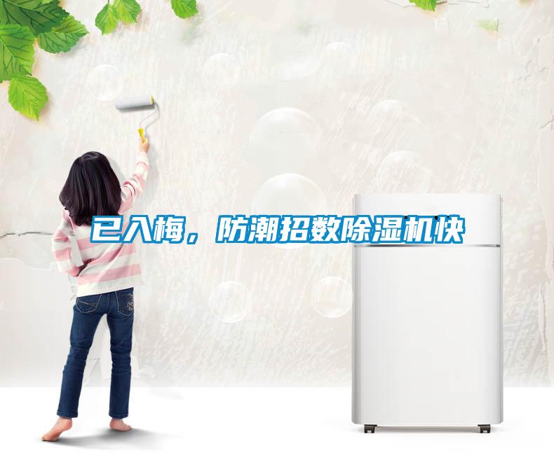 已入梅，防潮招數(shù)除濕機(jī)快