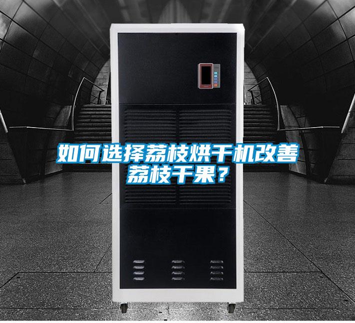 如何選擇荔枝烘干機(jī)改善荔枝干果？