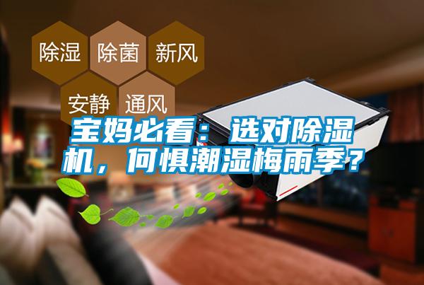 寶媽必看：選對(duì)除濕機(jī)，何懼潮濕梅雨季？