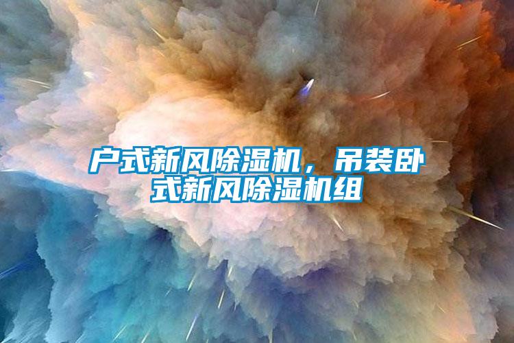 戶式新風(fēng)除濕機(jī)，吊裝臥式新風(fēng)除濕機(jī)組