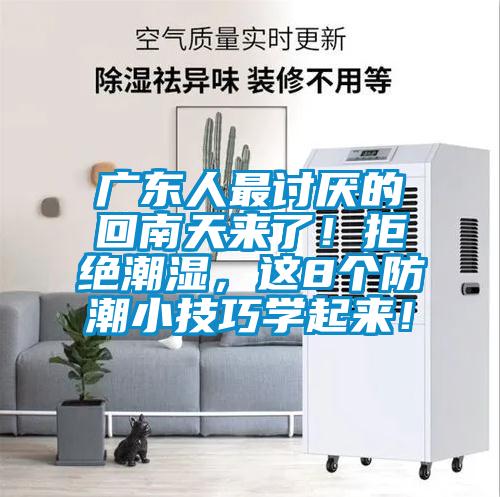 廣東人最討厭的回南天來了！拒絕潮濕，這8個防潮小技巧學(xué)起來！