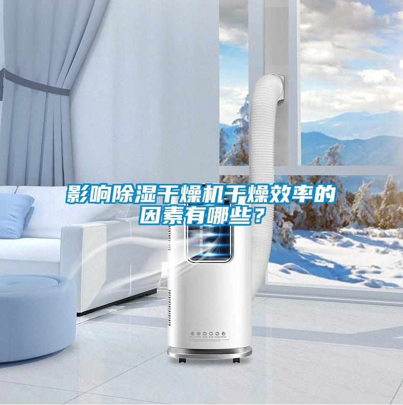 影響除濕干燥機(jī)干燥效率的因素有哪些？