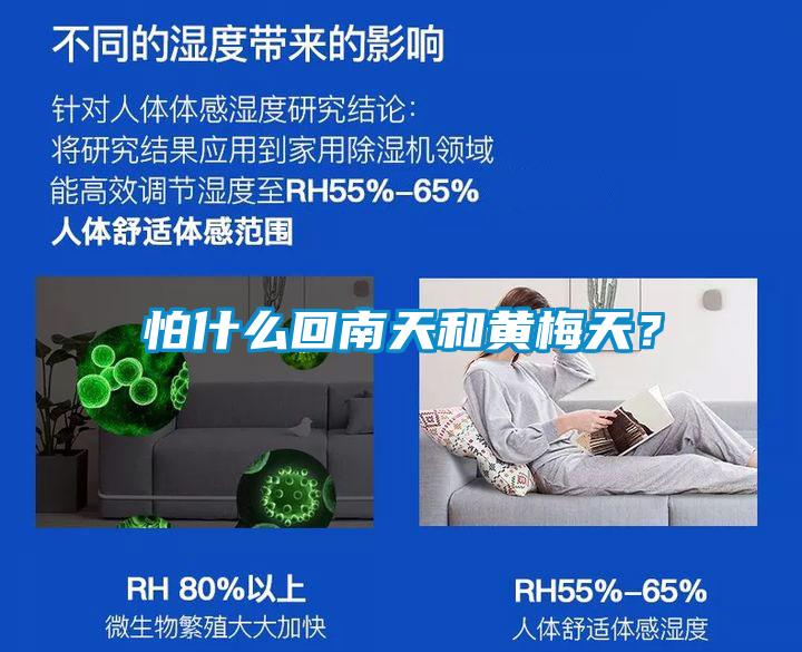 怕什么回南天和黃梅天？