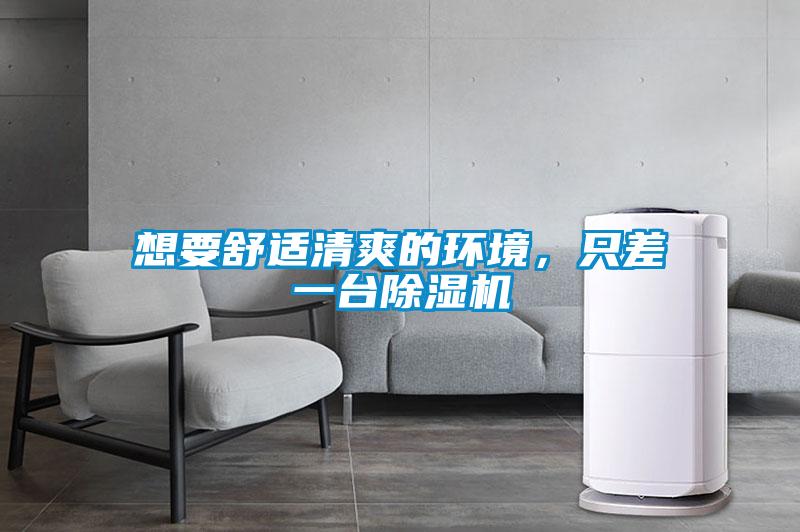 想要舒適清爽的環(huán)境，只差一臺(tái)除濕機(jī)