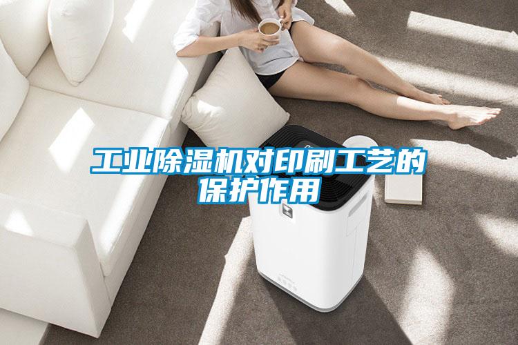 工業(yè)除濕機對印刷工藝的保護(hù)作用