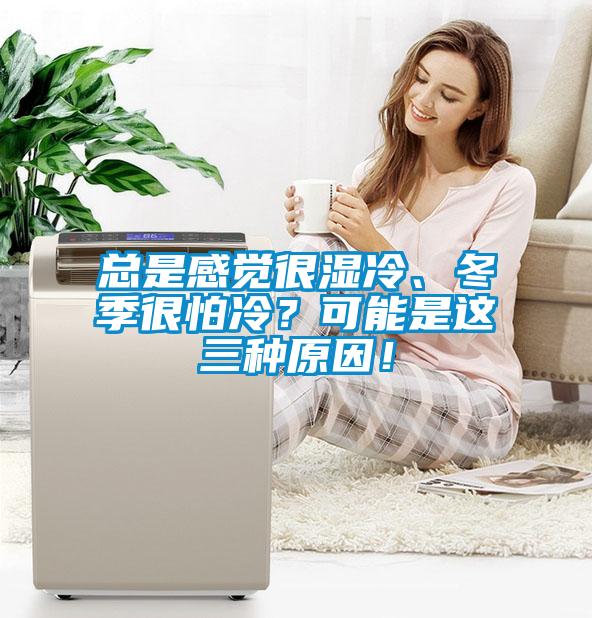 總是感覺很濕冷、冬季很怕冷？可能是這三種原因！