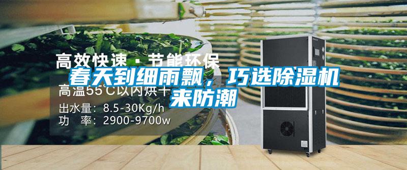 春天到細(xì)雨飄，巧選除濕機(jī)來(lái)防潮