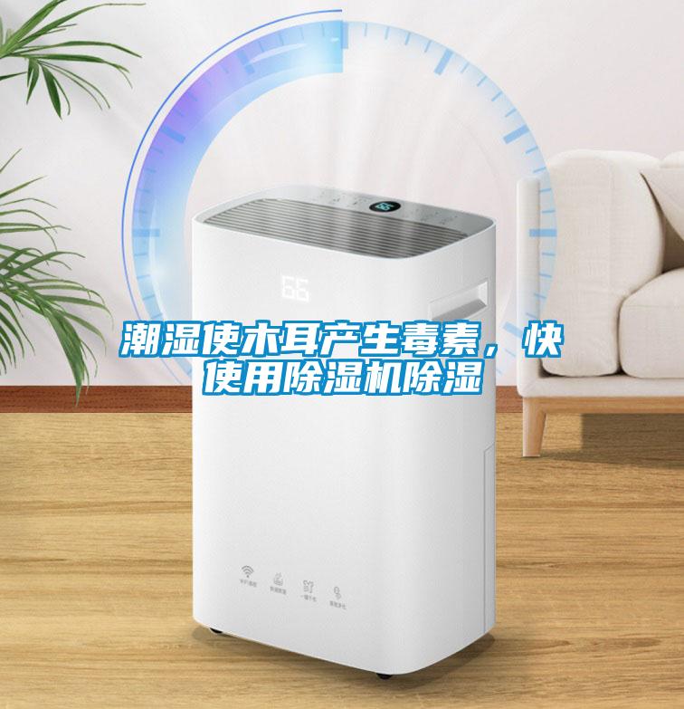 干嘛要挖空心思想怎么在回南天晾干衣服？直接除濕機干衣就行啦！