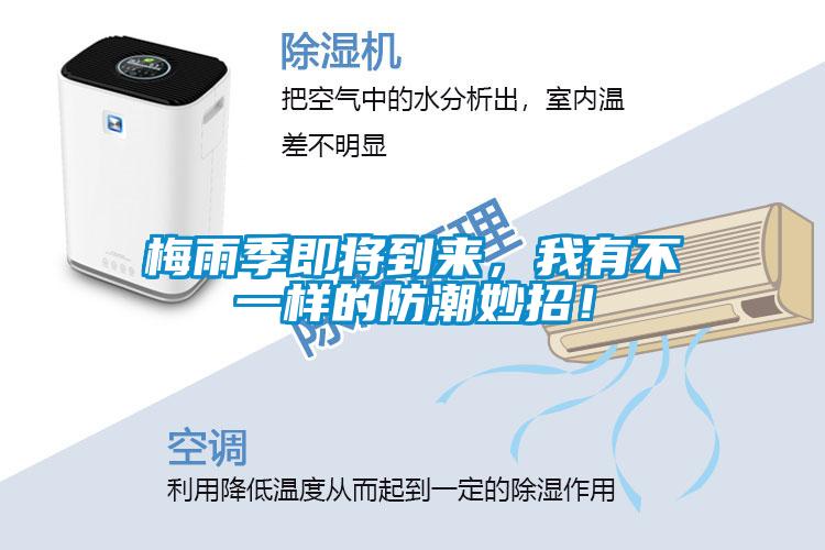 梅雨季即將到來，我有不一樣的防潮妙招！