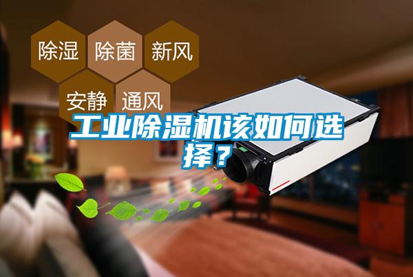 工業(yè)除濕機(jī)該如何選擇？