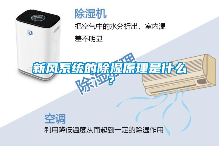 新風(fēng)系統(tǒng)的除濕原理是什么？
