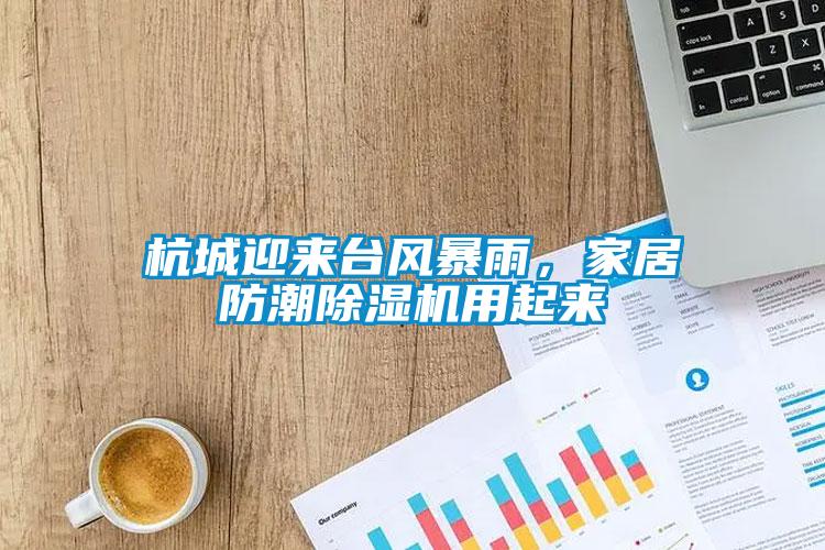 杭城迎來臺(tái)風(fēng)暴雨,家居防潮除濕機(jī)用起來
