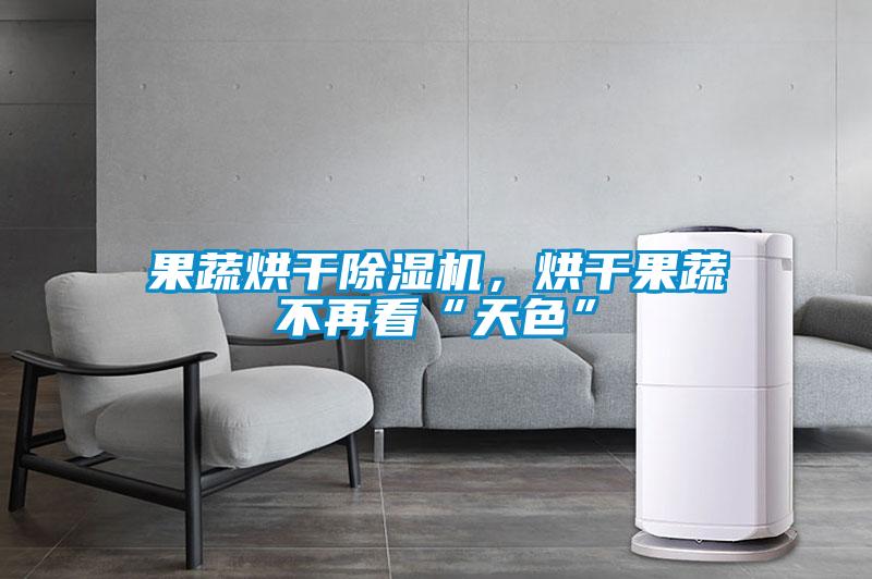 果蔬烘干除濕機(jī)，烘干果蔬不再看“天色”