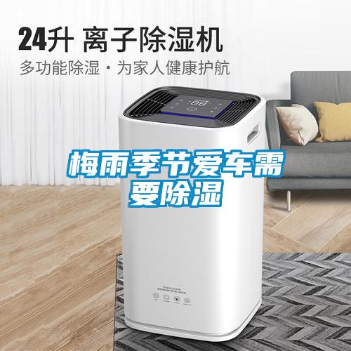 濕氣太重，大不如前！安詩曼除濕機(jī)還你健康好身體！