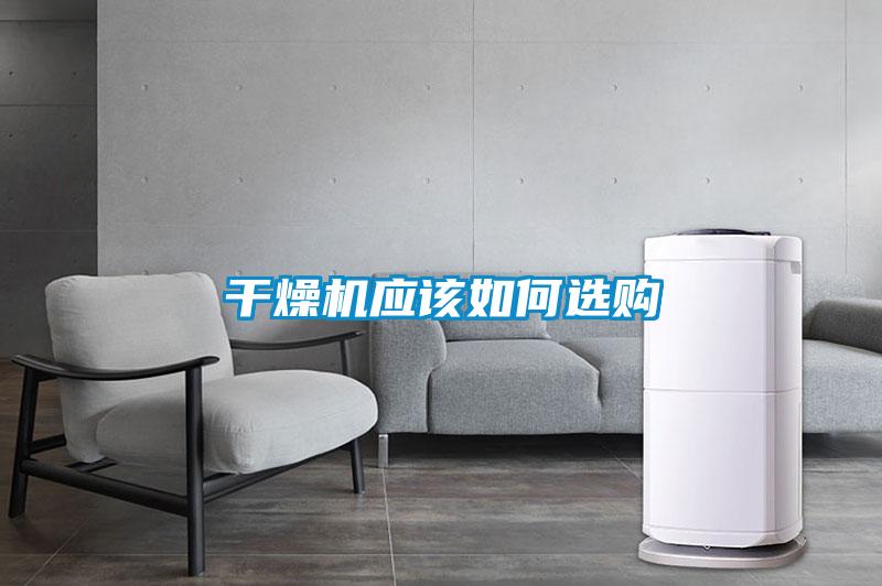 年年除濕年年濕，如何快速除濕？