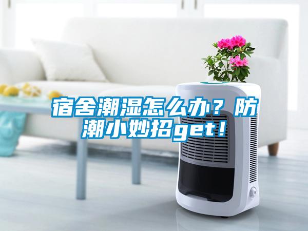 宿舍潮濕怎么辦？防潮小妙招g(shù)et！