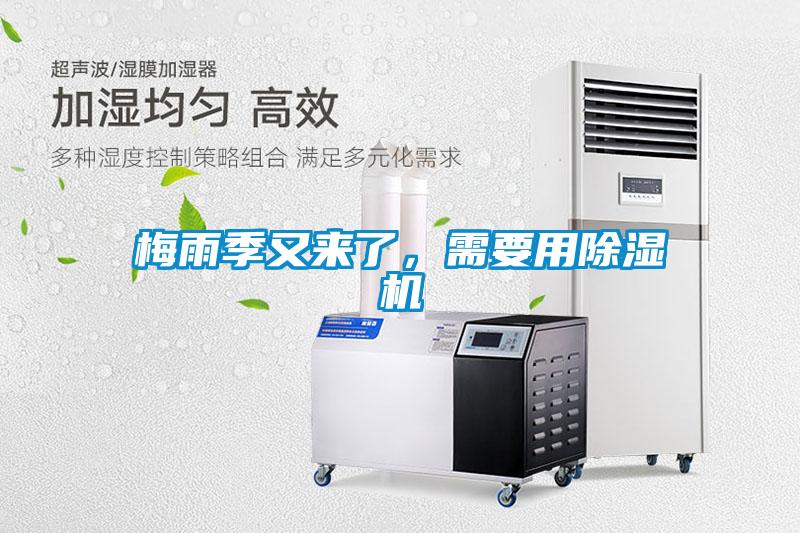 梅雨季又來了，需要用除濕機