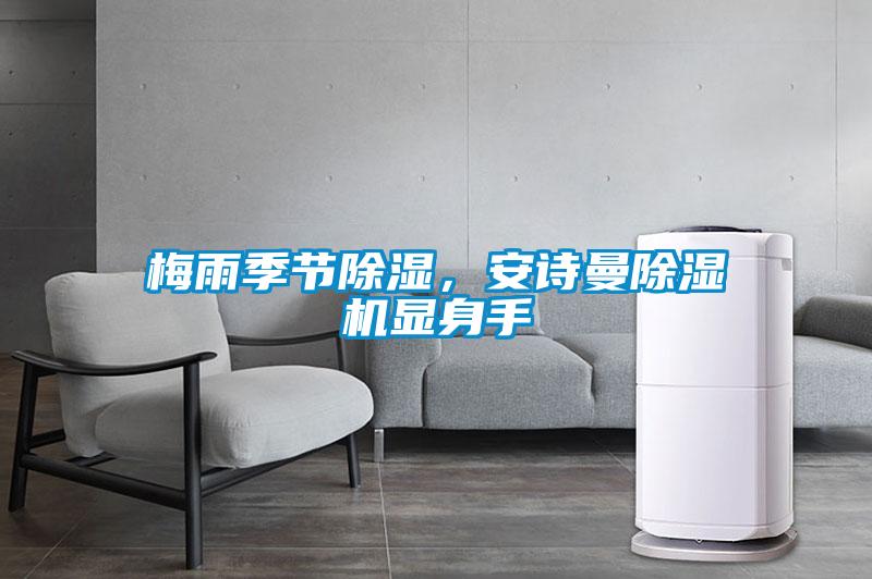 梅雨季節(jié)除濕，安詩曼除濕機顯身手