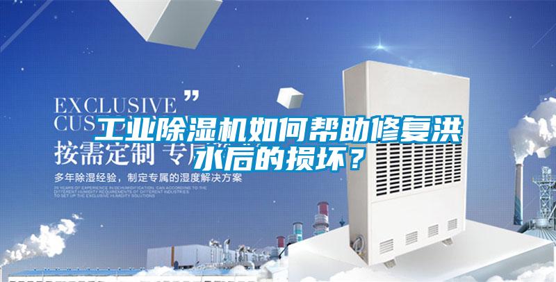 工業(yè)除濕機(jī)如何幫助修復(fù)洪水后的損壞？