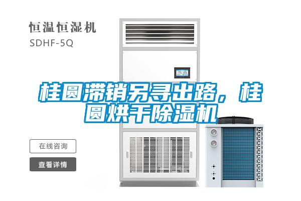 桂圓滯銷另尋出路，桂圓烘干除濕機(jī)