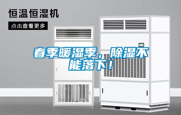 春季暖濕季，除濕不能落下！