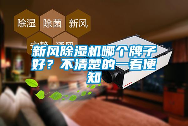 新風除濕機哪個牌子好？不清楚的一看便知