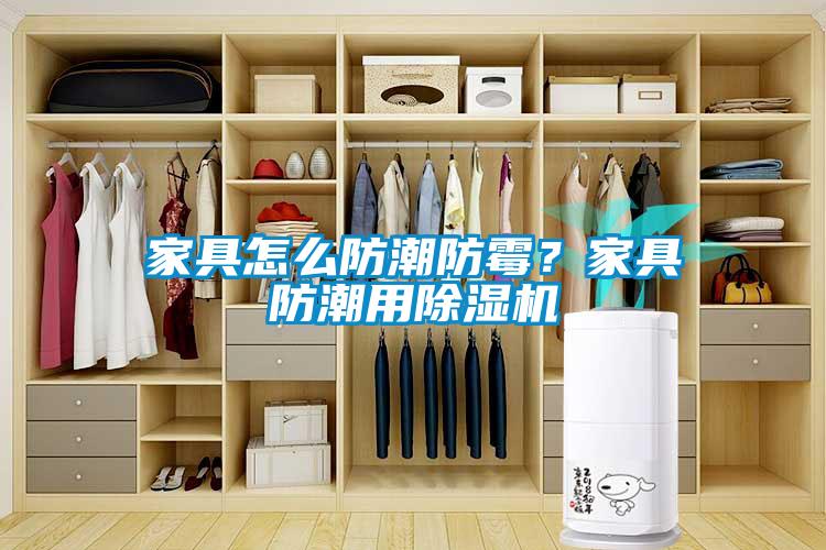 家具怎么防潮防霉？家具防潮用除濕機(jī)