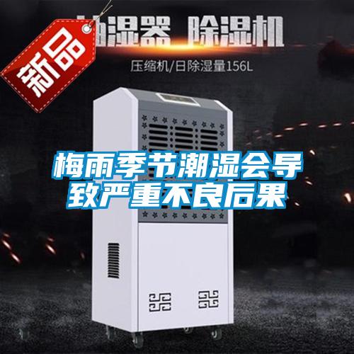 濕冷天氣，四季干爽就選安詩曼除濕機